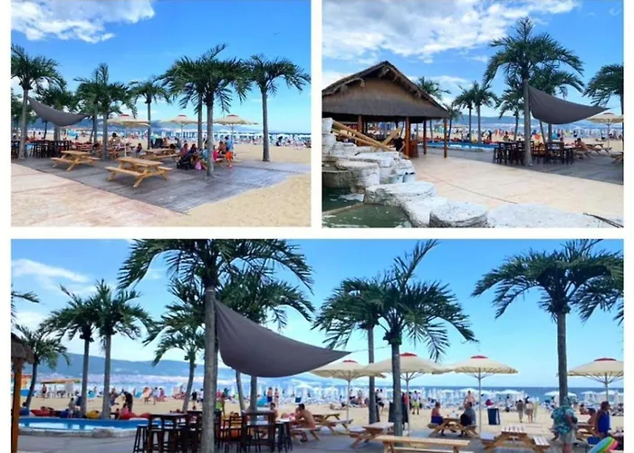 George - 3 Pools, 2 Bedrooms & 2 Bathrooms Lejlighed Sunny Beach